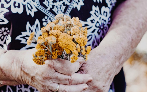 Eine Mindestpensionistin hält Wiesenblumen in der Hand. 