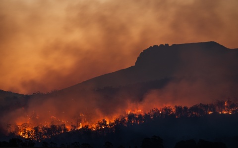 Waldbrand Klimakrise