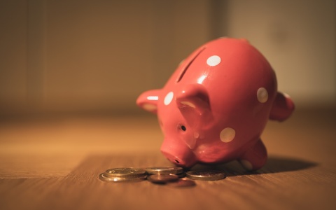 Sparschwein als Symbolbild für die Profit-Preis-Spirale bei Banken