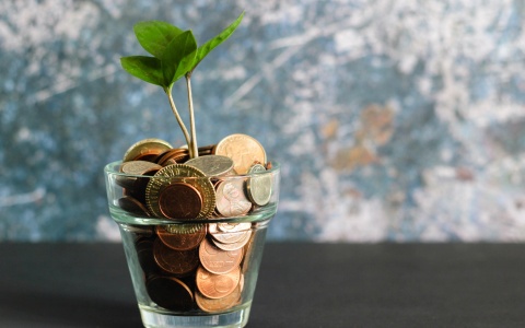Grafik mit Pflanze, die aus Geld wächst, als Symbolbild für die Sozialleistungen, die durch Lohnnebenkosten ermöglicht werden