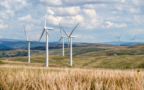 Erneuerbare Energie: Windenergie