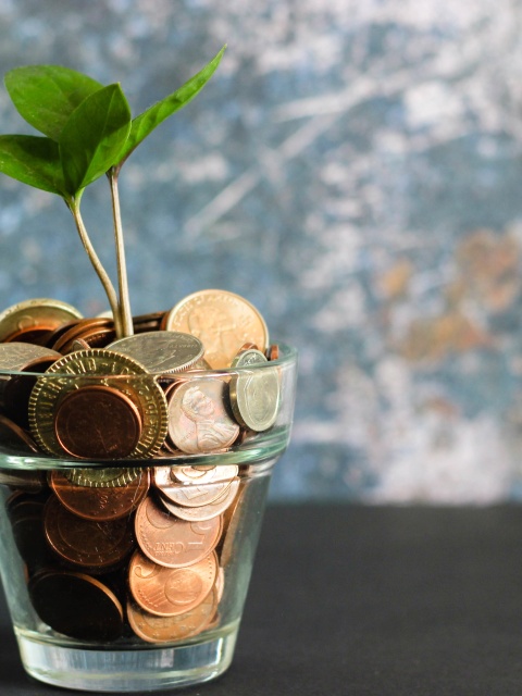 Grafik mit Pflanze, die aus Geld wächst, als Symbolbild für die Sozialleistungen, die durch Lohnnebenkosten ermöglicht werden