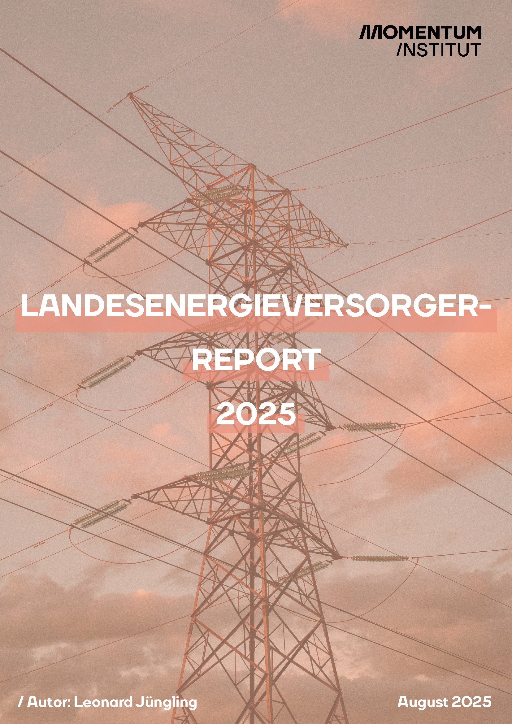 Cover des Landesenergieversorger-Report 2025