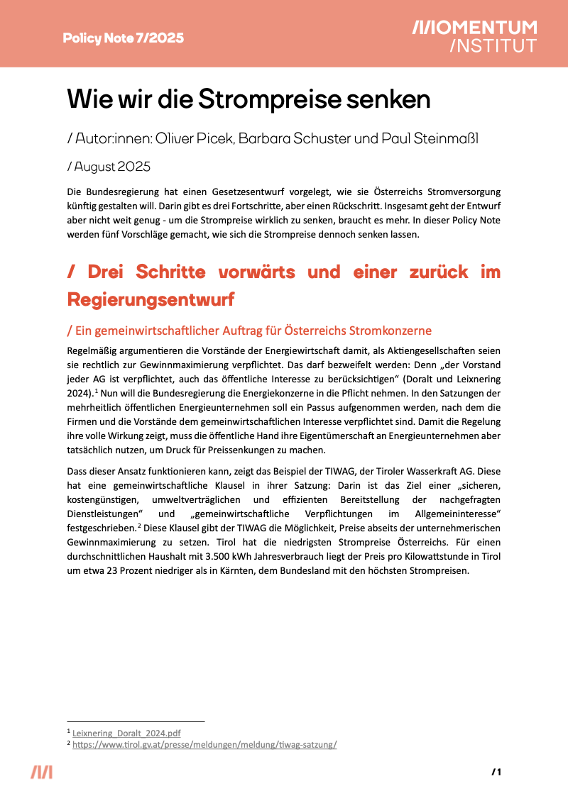 Dieses Bild zeigt das Cover einer Publikation des Momentum Instituts zum Thema Stromreform. Der Titel lautet: Wie wir die Strompreise senken.