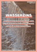 Wasserzins: Ein Permanenter Beitrag der Energiewirtschaft gegen das Leck im Staatshaushalt