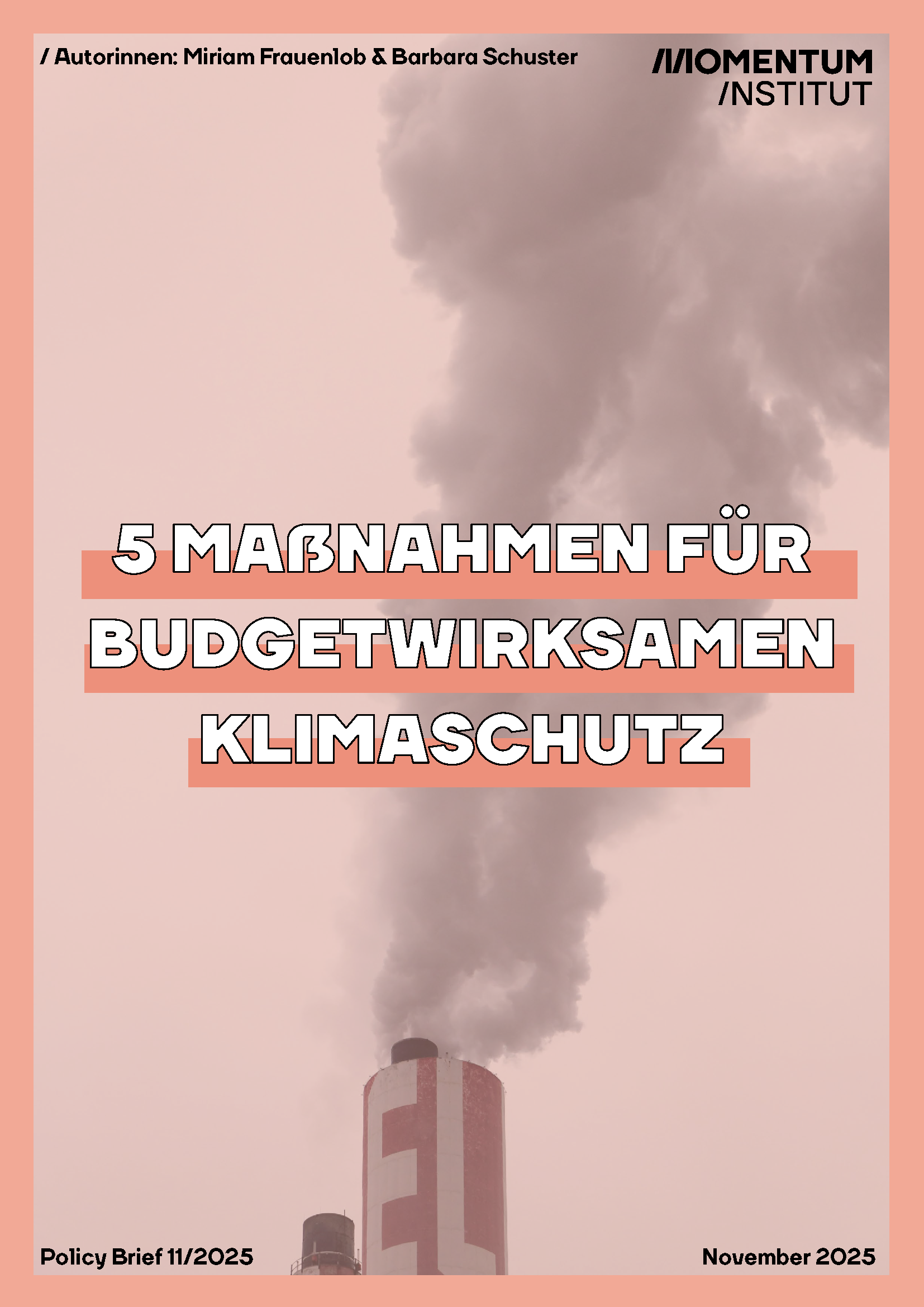 Klimaschutz Budget: Dieses Bild zeigt das Cover einer Publikation des Momentum Instituts mit dem Titel: "5 Maßnahmen für bugetwirksamen Klimaschutz".