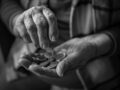 Volle Pensionsanpassung für kleine Pensionen unabdingbar